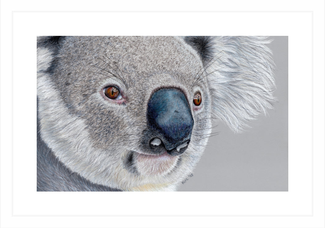 "Handsome" Framed Fine Art Print