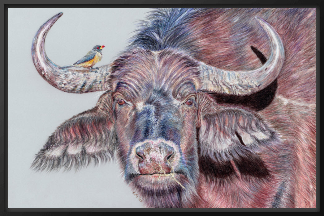 "Hitchhiker" Canvas Print