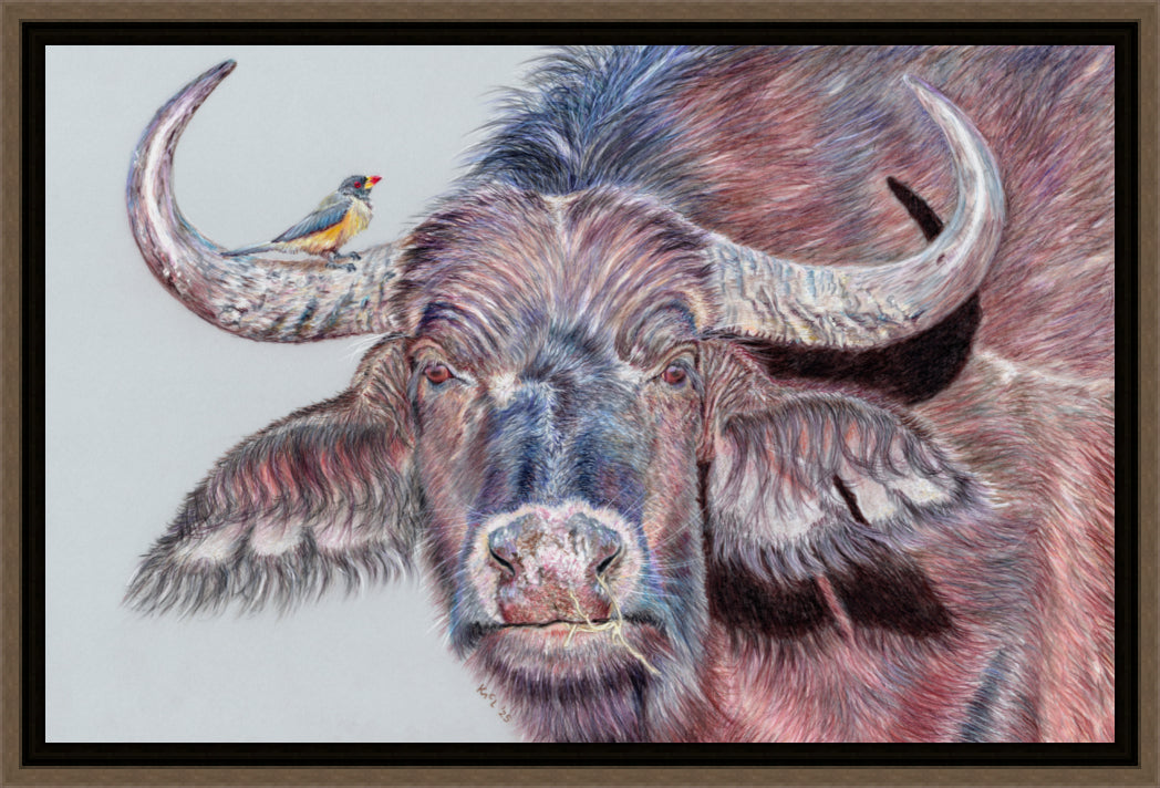 "Hitchhiker" Canvas Print