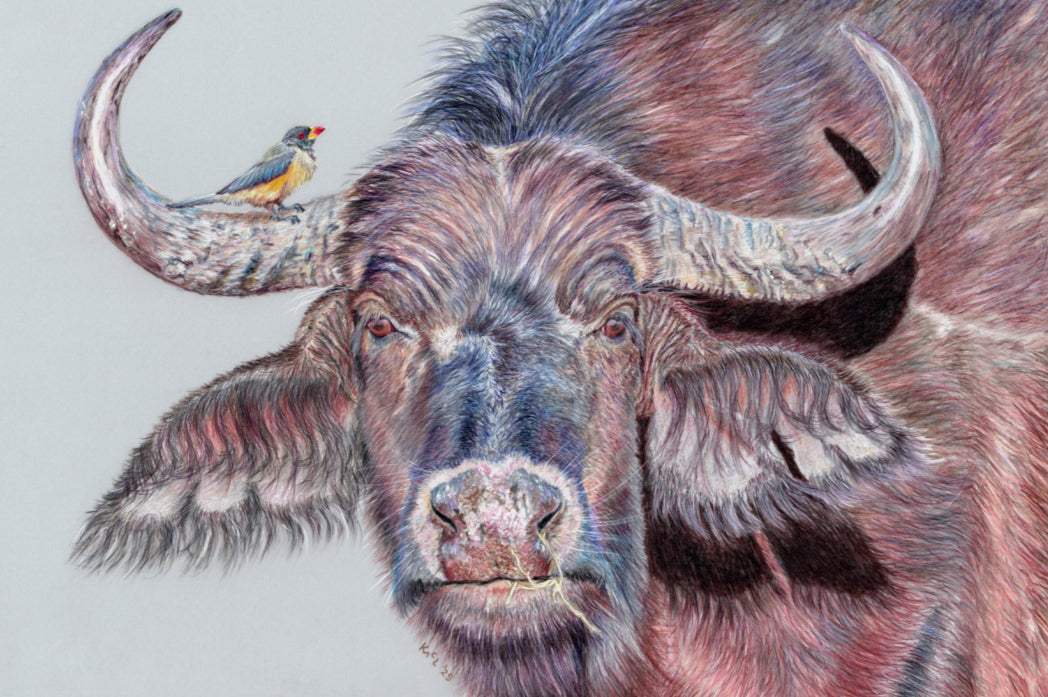 "Hitchhiker" Canvas Print