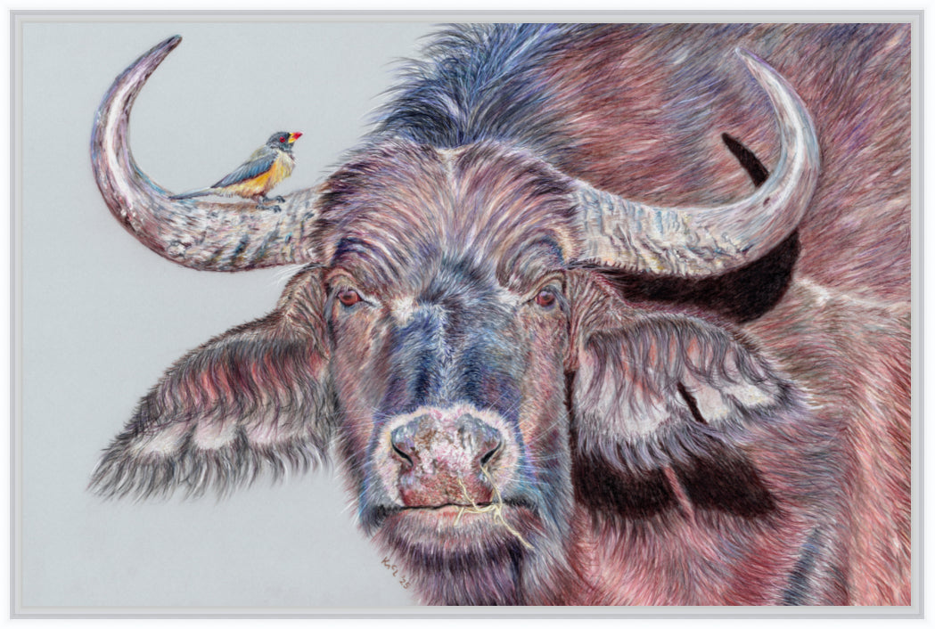 "Hitchhiker" Canvas Print