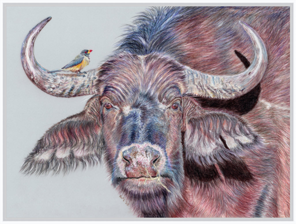 "Hitchhiker" Canvas Print