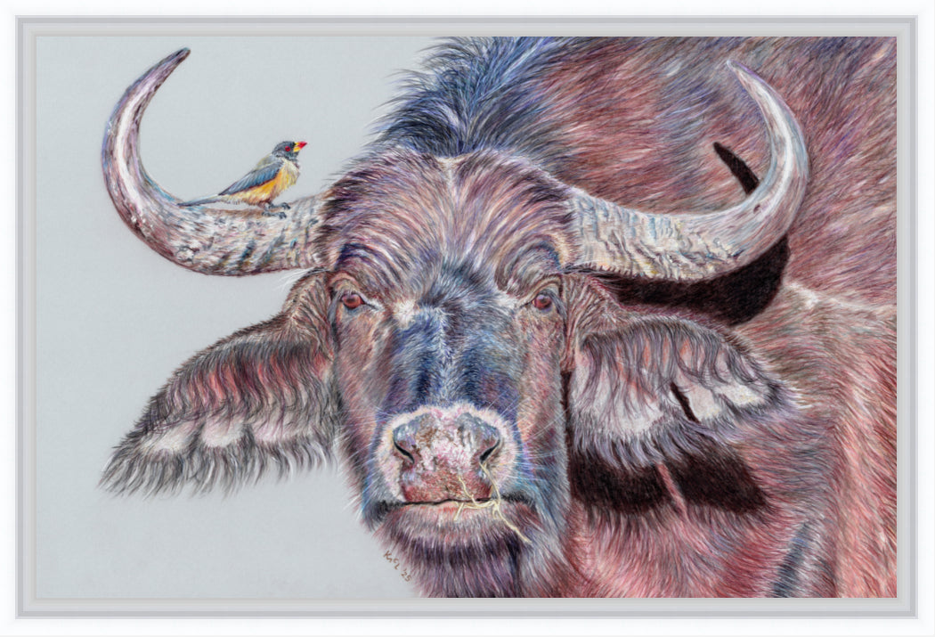 "Hitchhiker" Canvas Print