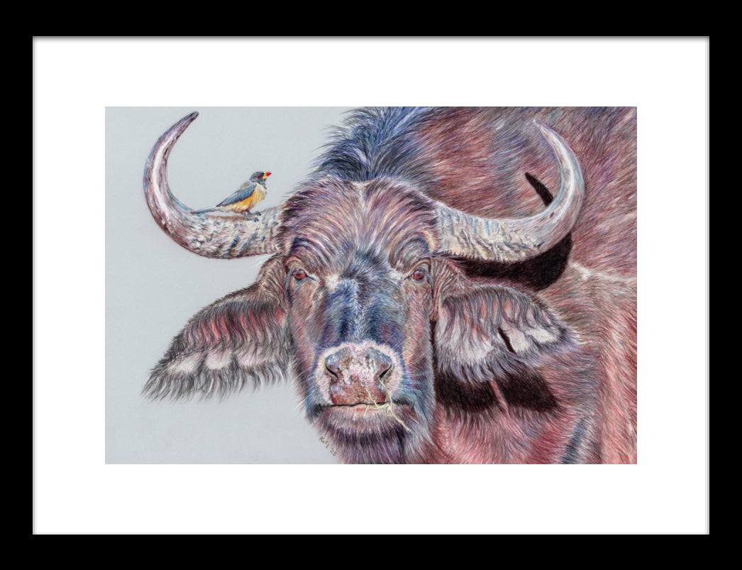 "Hitchhiker" Framed Fine Art Print