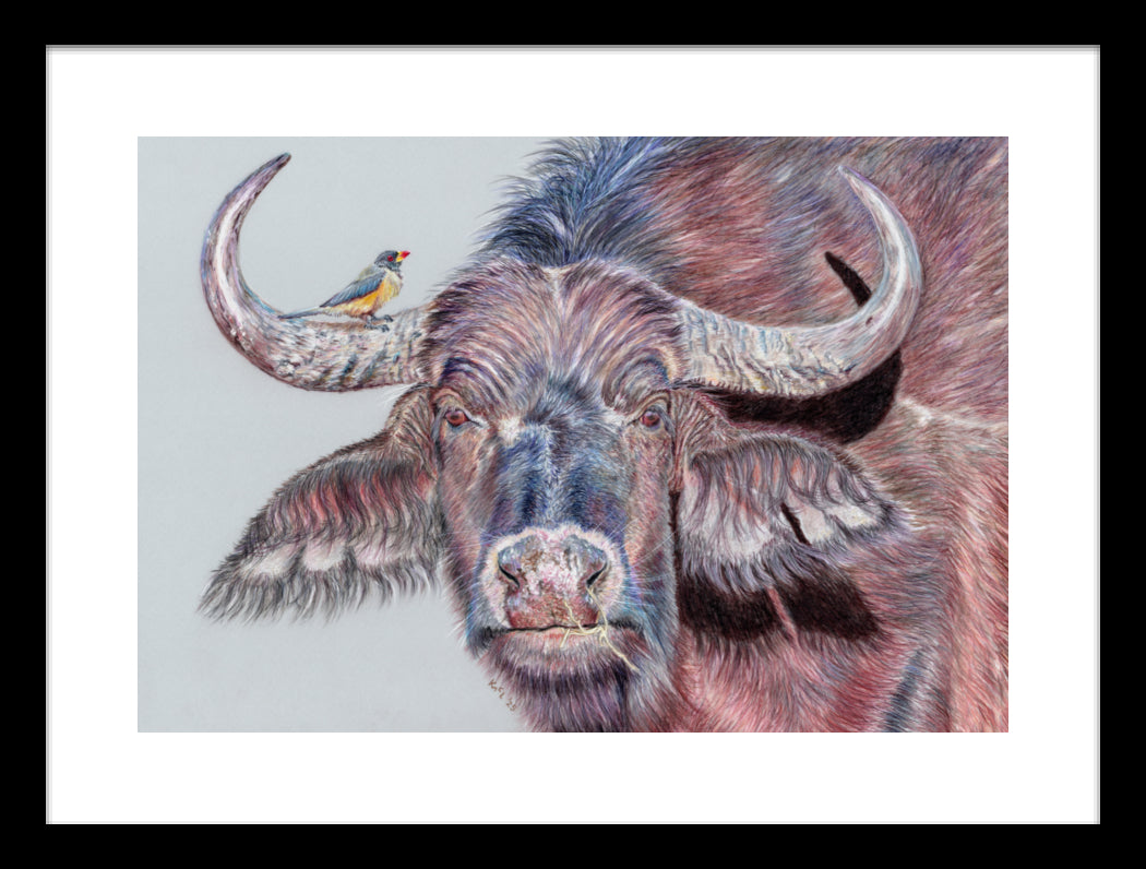 "Hitchhiker" Framed Fine Art Print