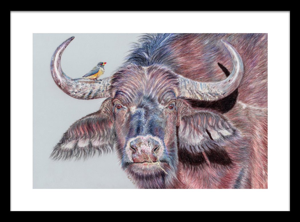 "Hitchhiker" Framed Fine Art Print