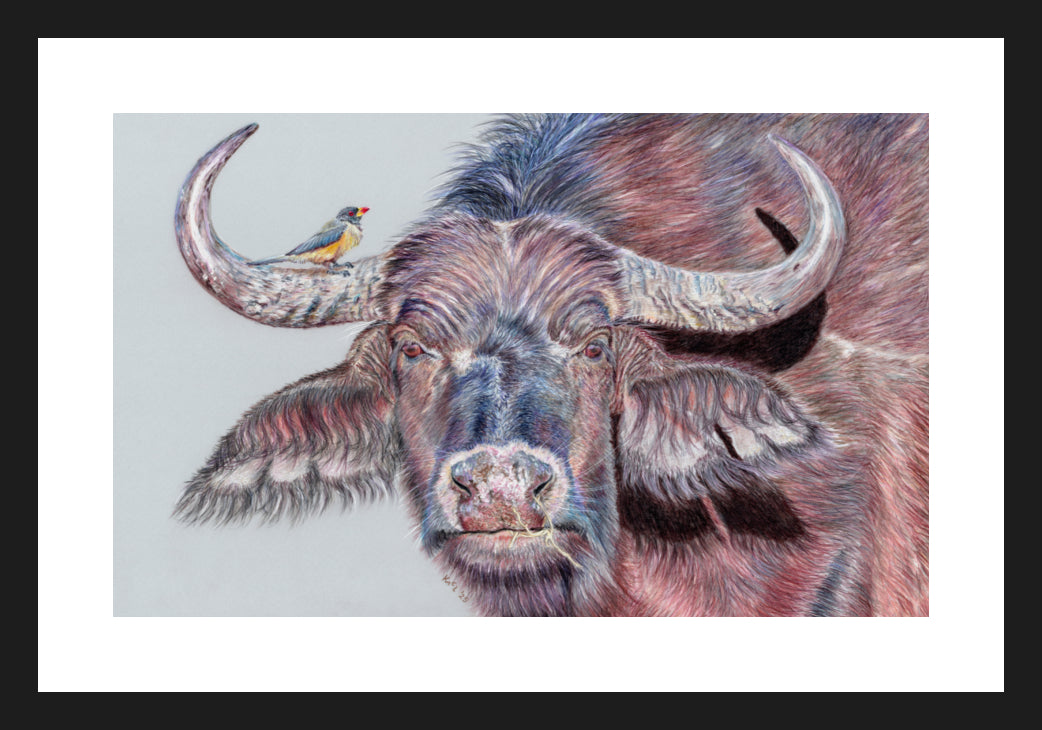 "Hitchhiker" Framed Fine Art Print