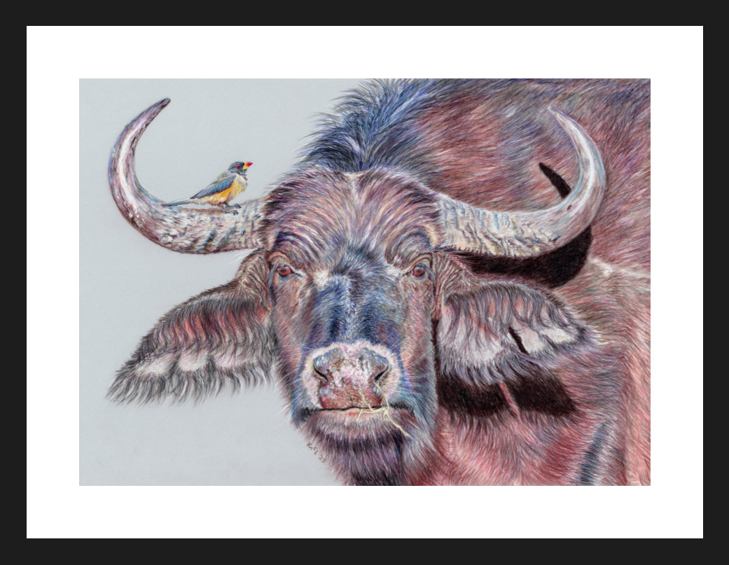 "Hitchhiker" Framed Fine Art Print