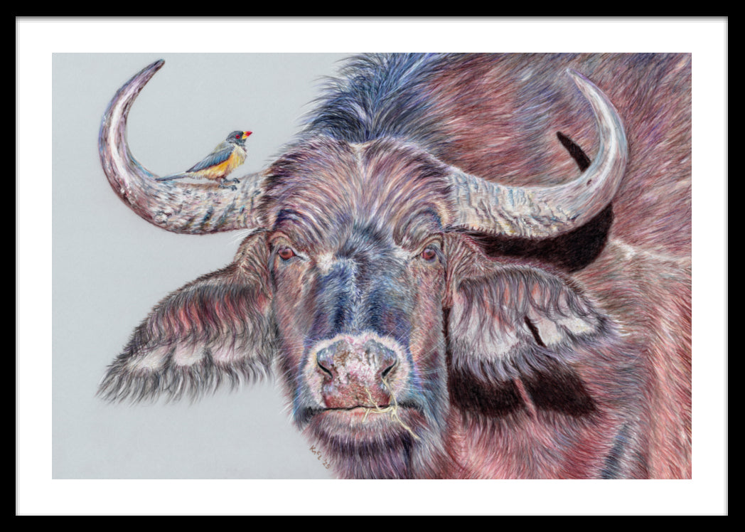 "Hitchhiker" Framed Fine Art Print