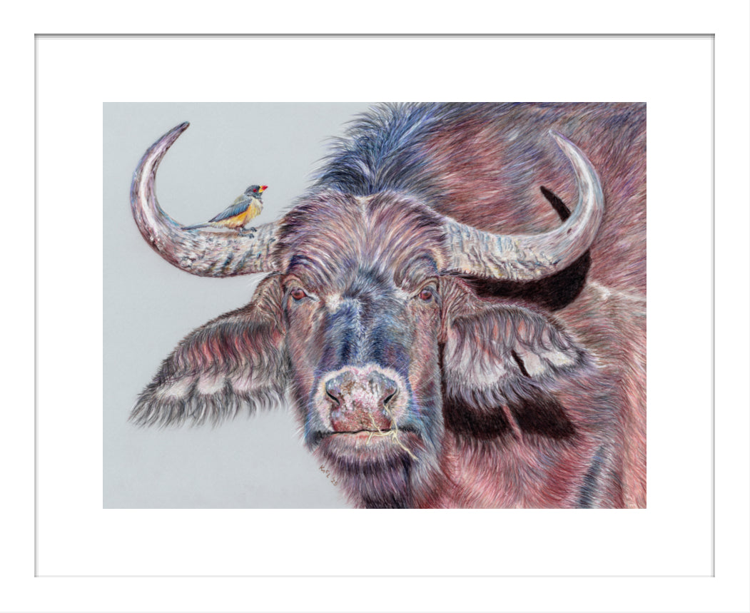 "Hitchhiker" Framed Fine Art Print