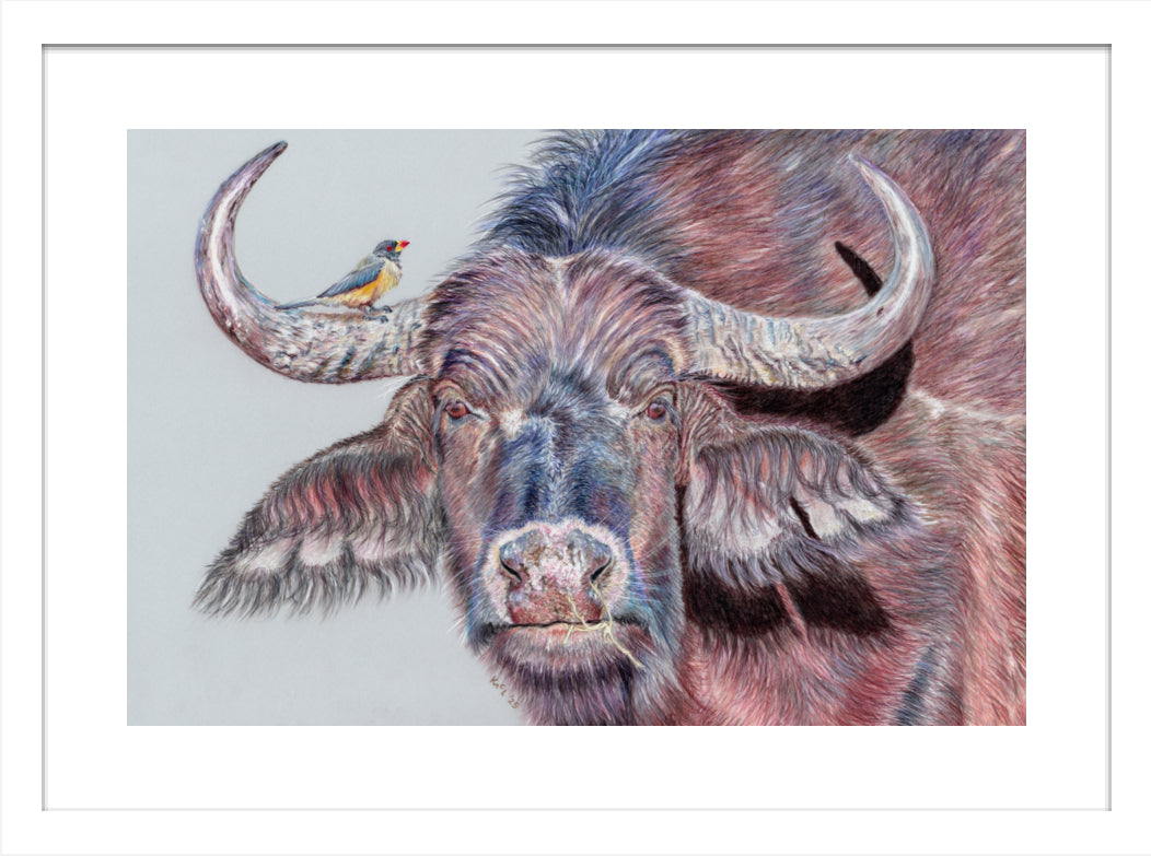 "Hitchhiker" Framed Fine Art Print