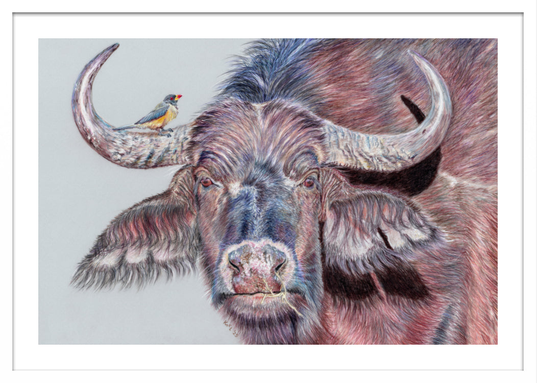 "Hitchhiker" Framed Fine Art Print