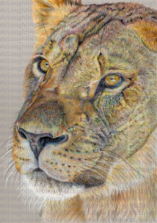 "Story Lines" Framed Fine Art Print