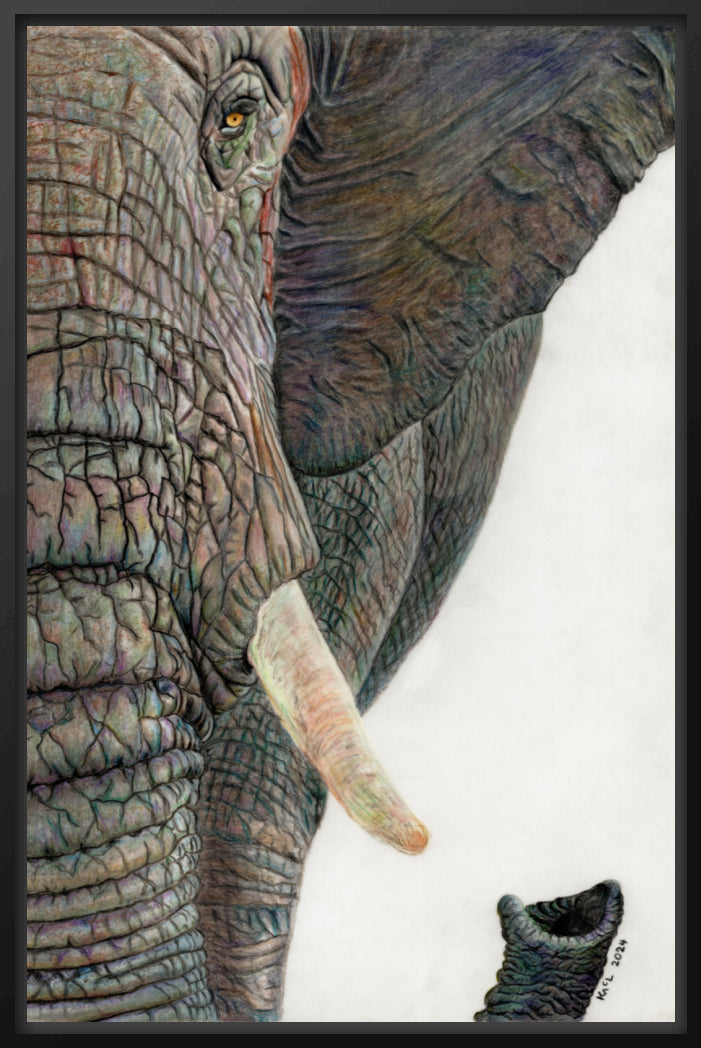 "Memory Lines" Canvas Print