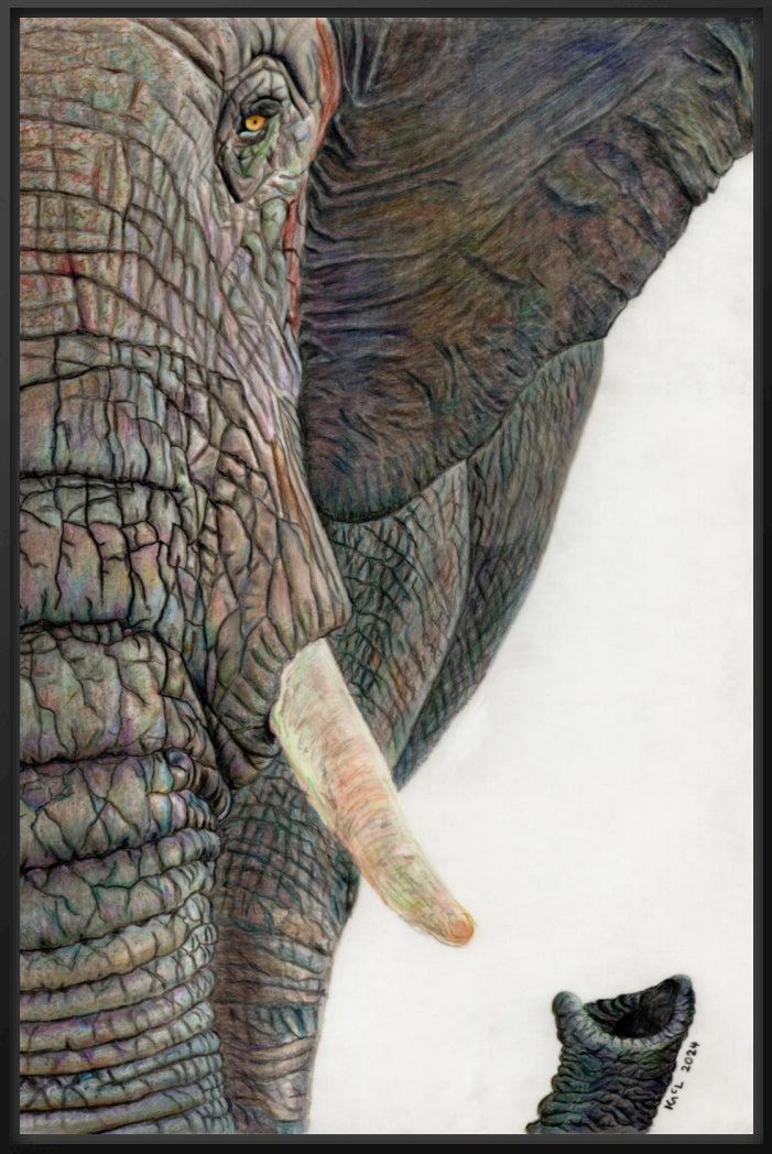 "Memory Lines" Canvas Print