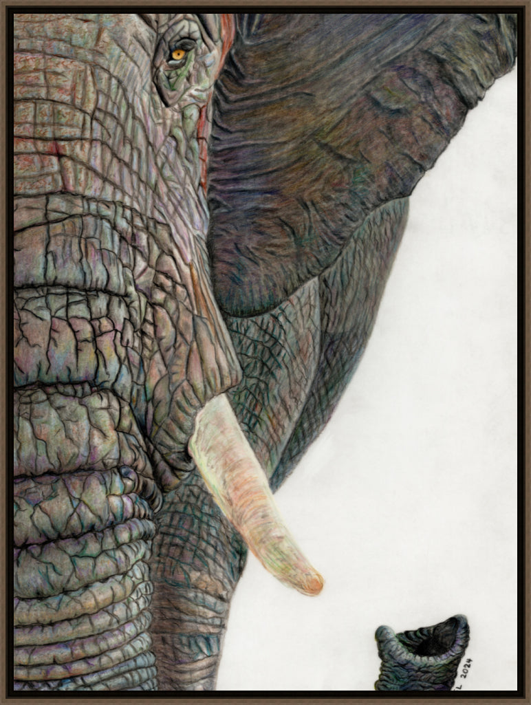 "Memory Lines" Canvas Print