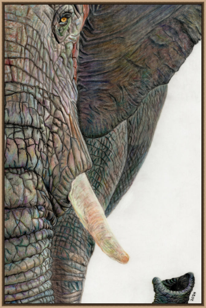 "Memory Lines" Canvas Print