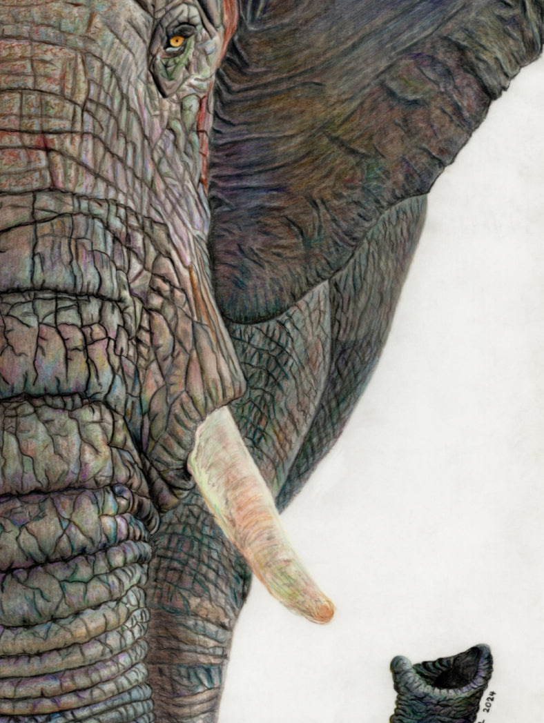 "Memory Lines" Canvas Print