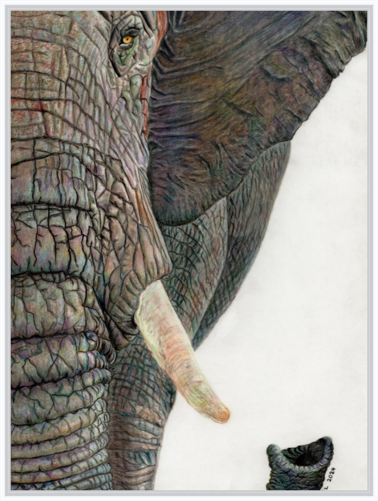 "Memory Lines" Canvas Print