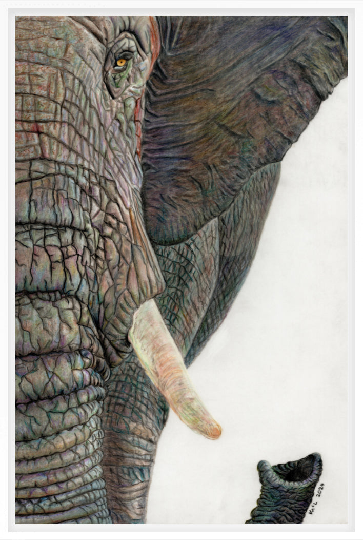 "Memory Lines" Canvas Print