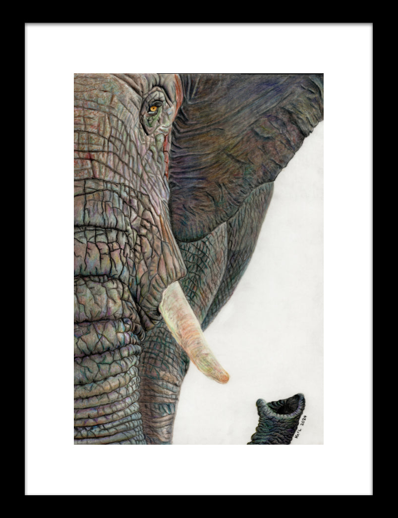 "Memory Lines" Framed Fine Art Print