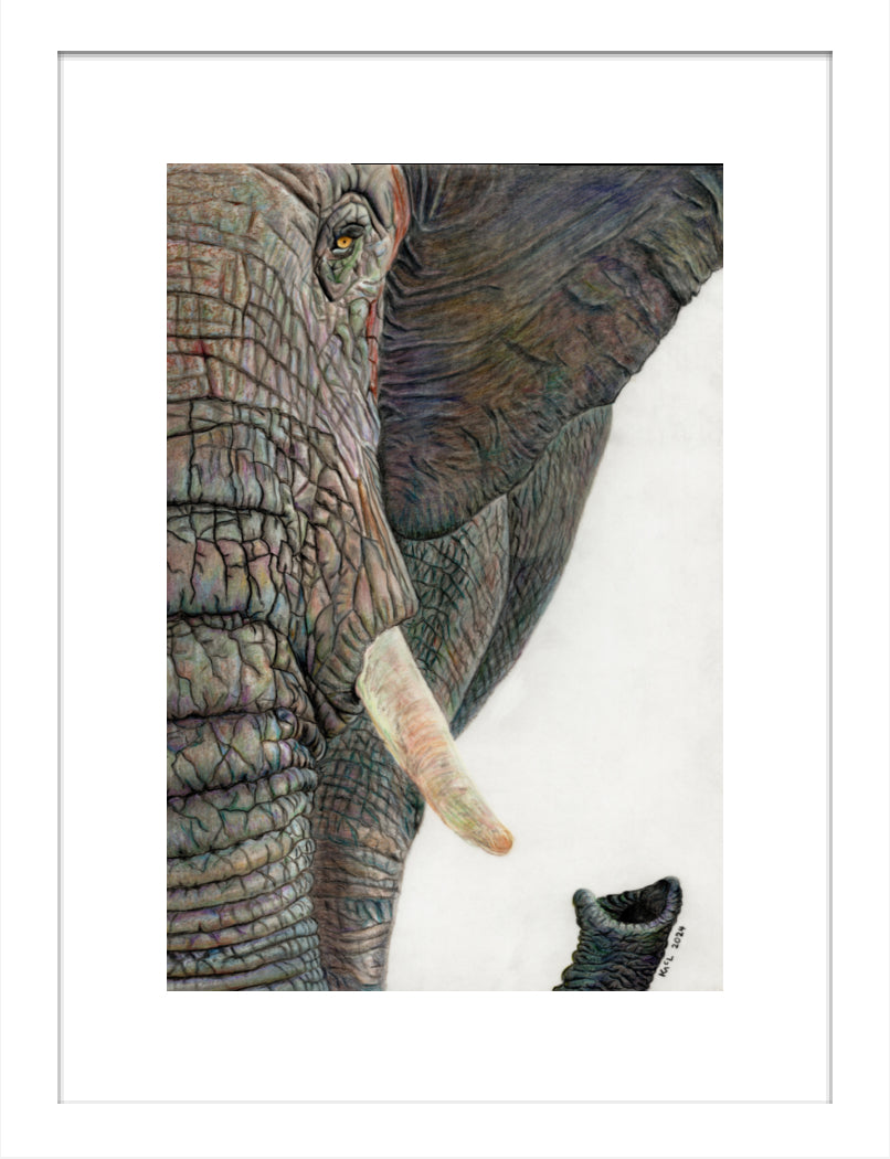 "Memory Lines" Framed Fine Art Print