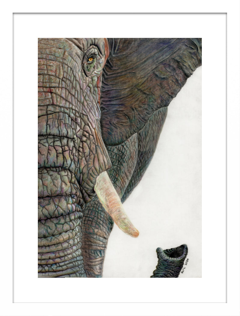 "Memory Lines" Framed Fine Art Print