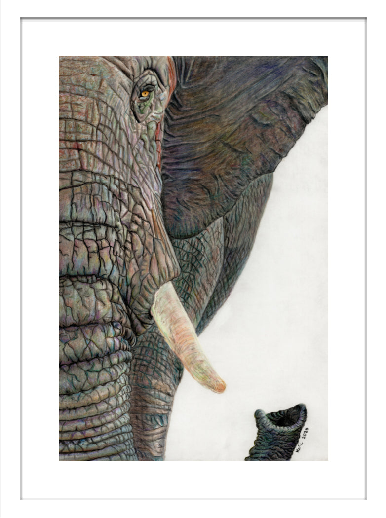 "Memory Lines" Framed Fine Art Print