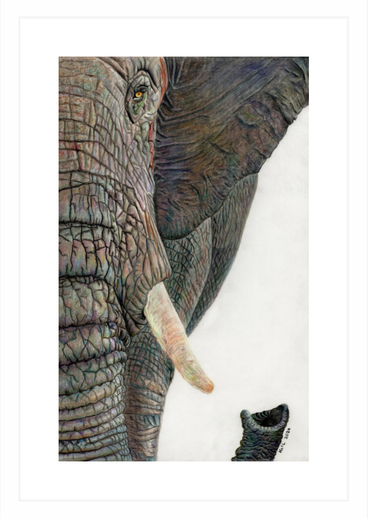 "Memory Lines" Framed Fine Art Print