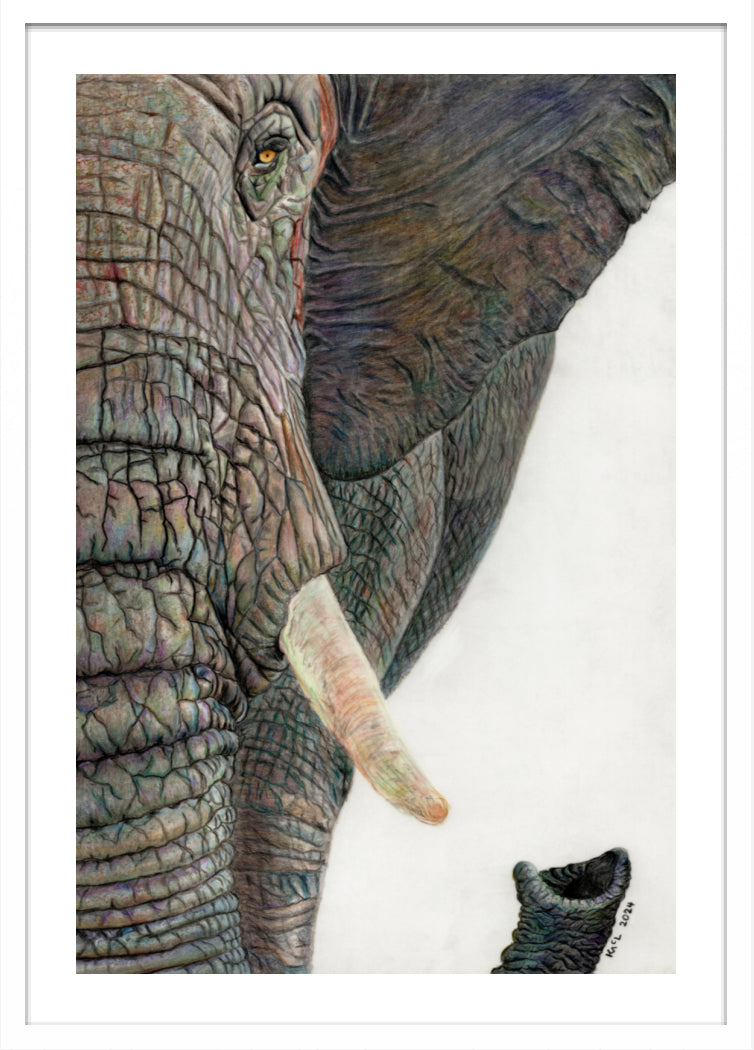 "Memory Lines" Framed Fine Art Print