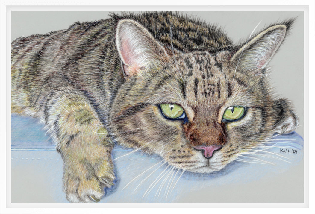 "Milky" Canvas Print