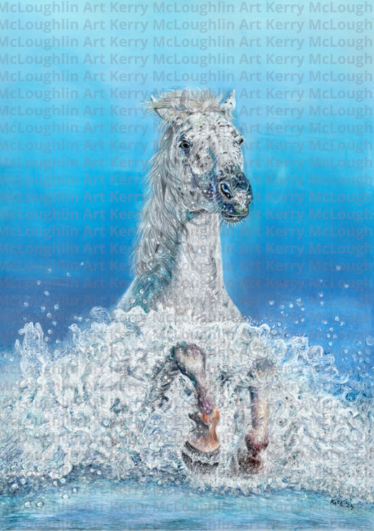 "Swifty" Framed Fine Art Print