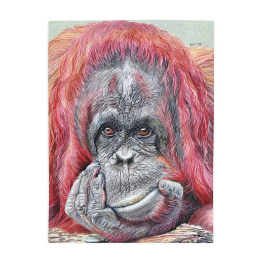 Contemplation Blanket