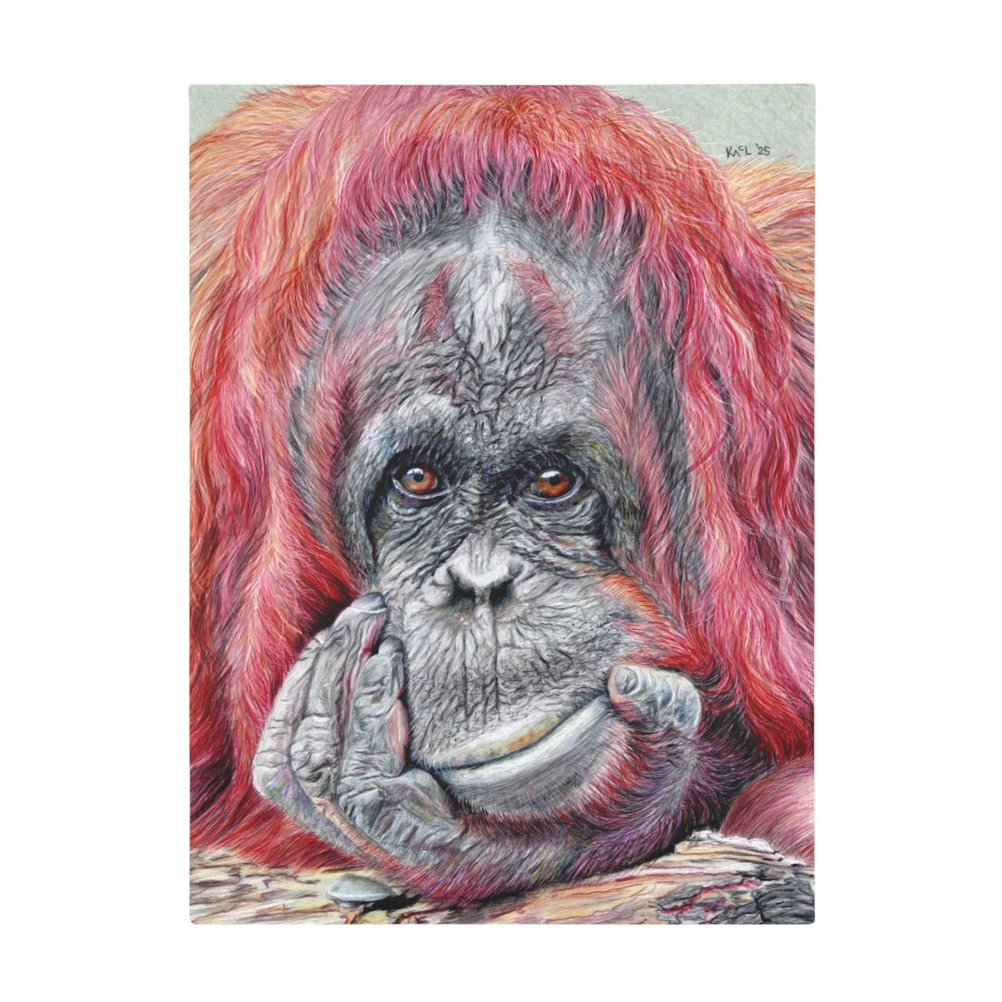 Contemplation Blanket