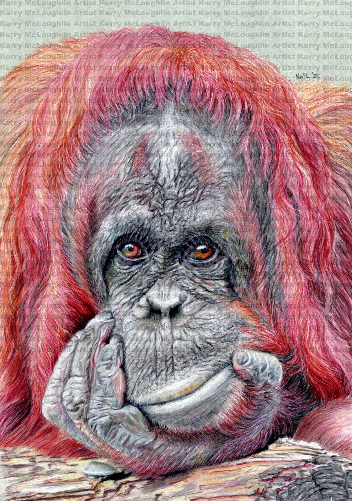 "Contemplation" Unframed Fine Art Print