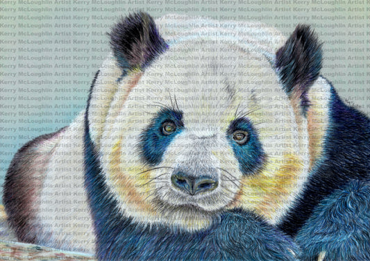 "Daydreamer" Unframed Fine Art Print