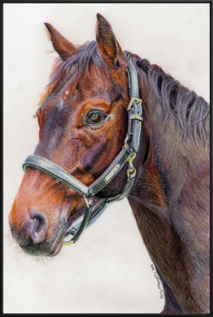 "Principles" Canvas Print