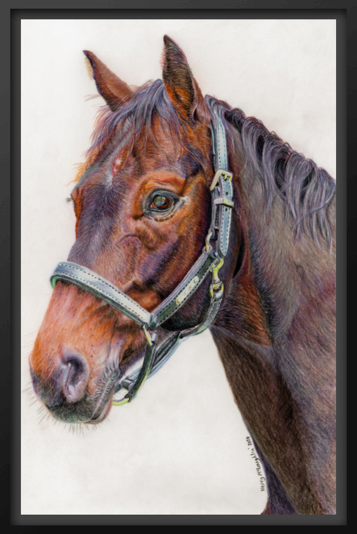 "Principles" Canvas Print