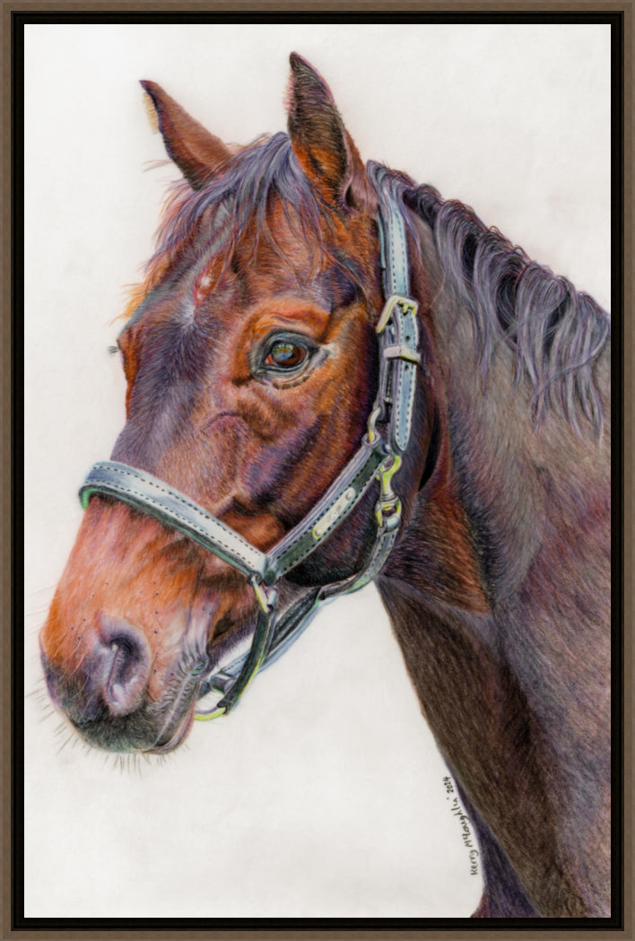 "Principles" Canvas Print