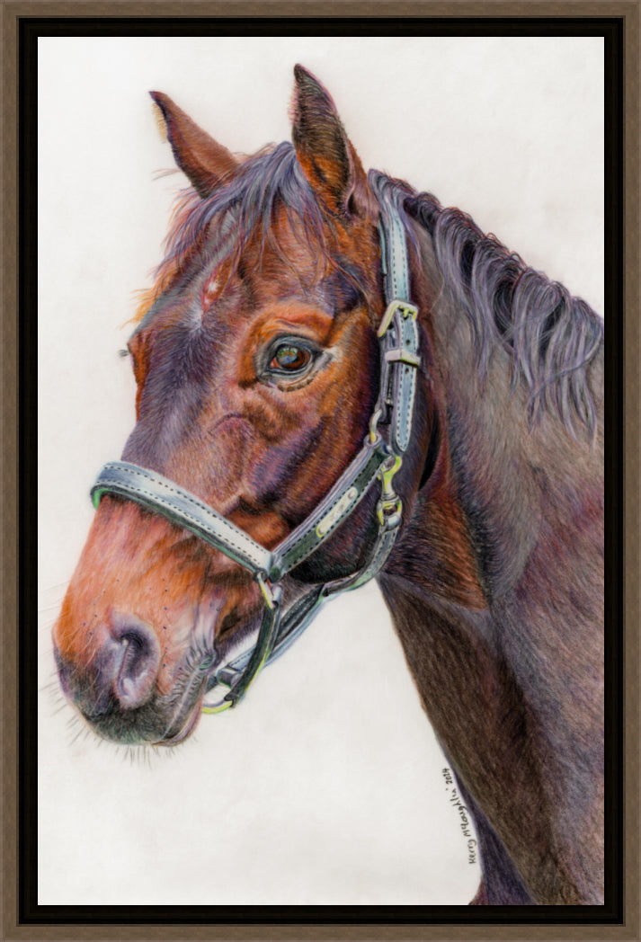 "Principles" Canvas Print