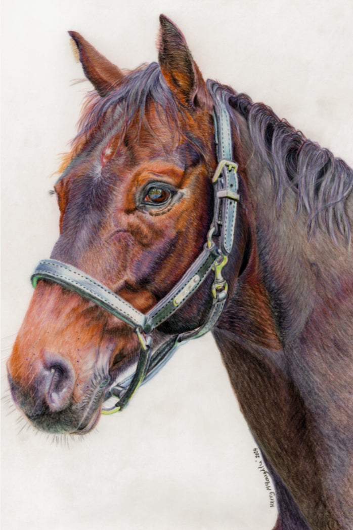 "Principles" Canvas Print