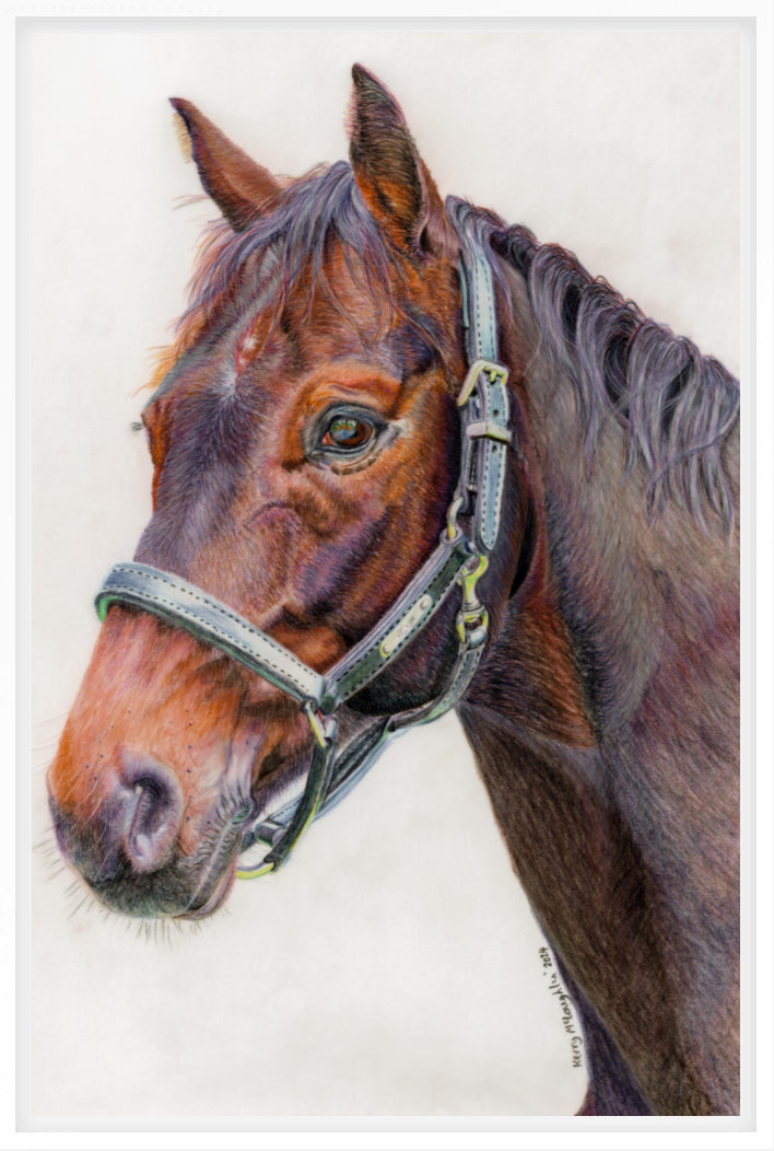 "Principles" Canvas Print