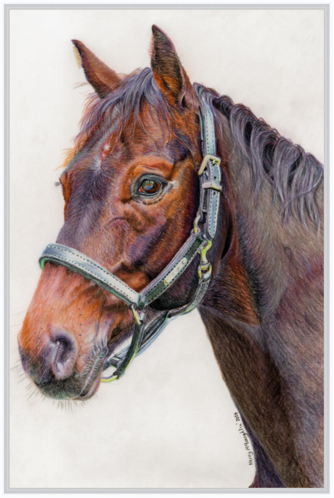 "Principles" Canvas Print