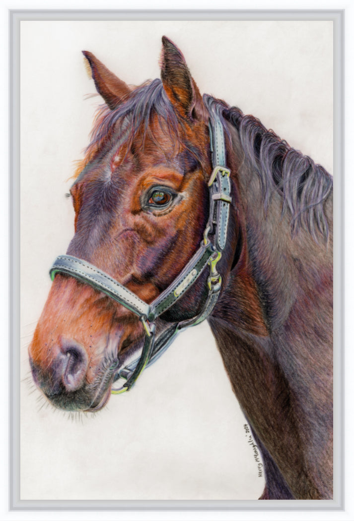 "Principles" Canvas Print