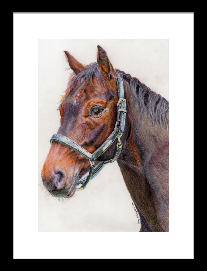 "Principles" Framed Fine Art Print