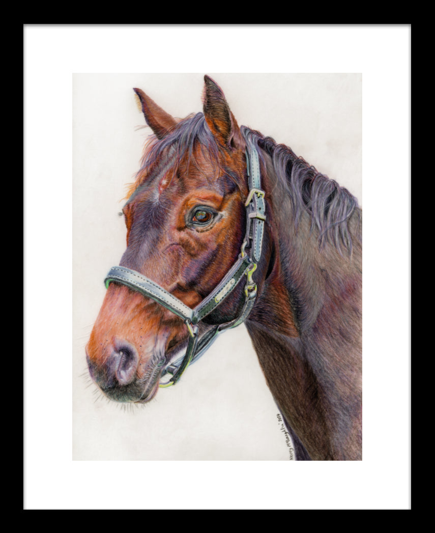 "Principles" Framed Fine Art Print