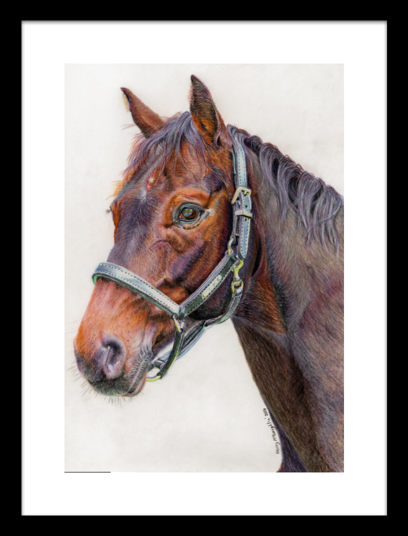 "Principles" Framed Fine Art Print