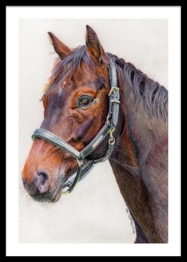 "Principles" Framed Fine Art Print