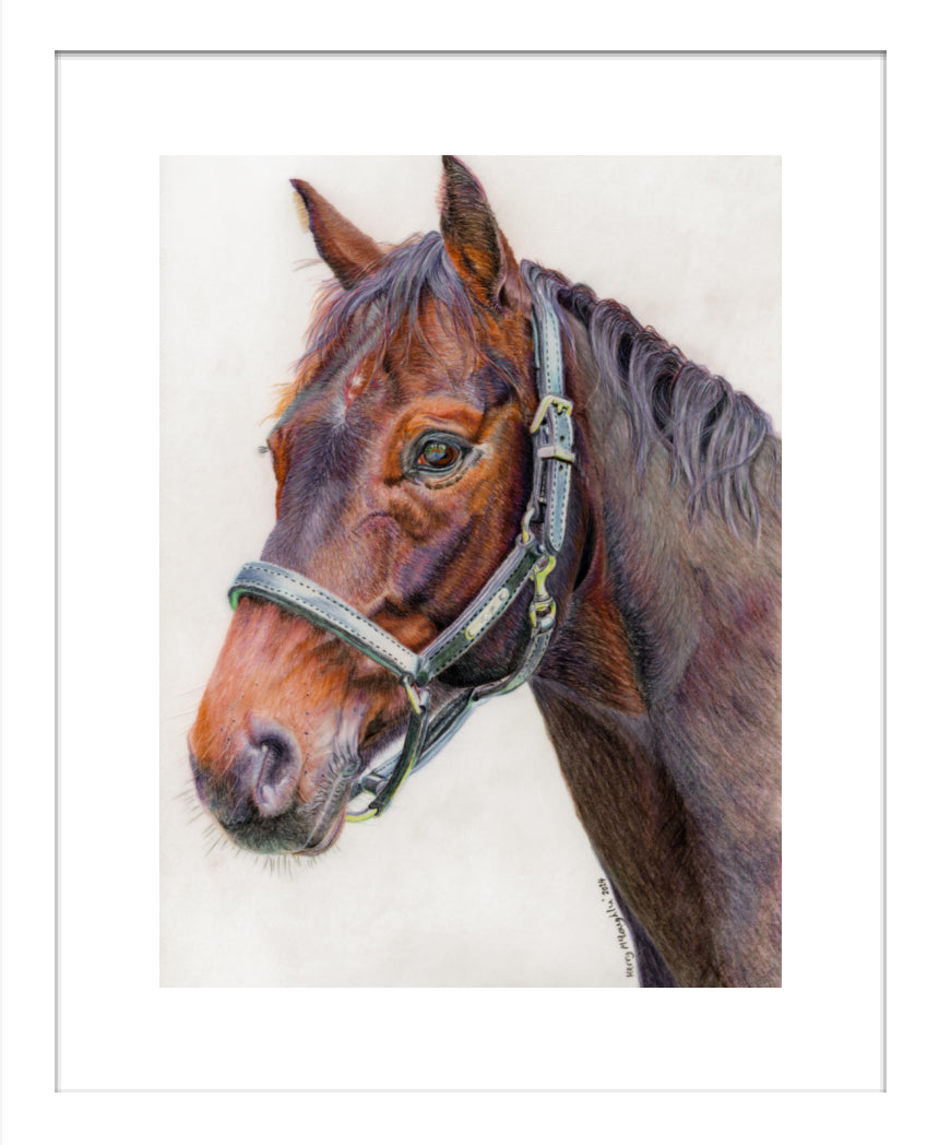 "Principles" Framed Fine Art Print