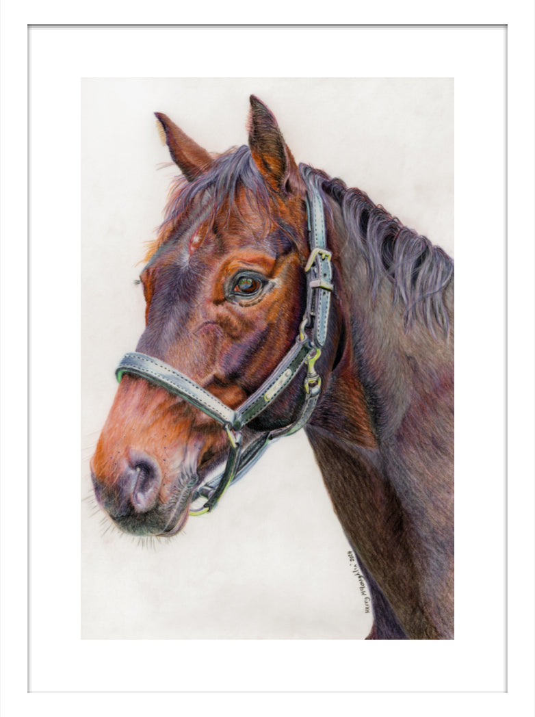 "Principles" Framed Fine Art Print